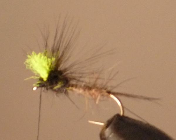 Montage de mouche