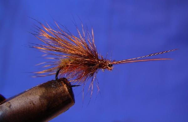 Montage de mouche