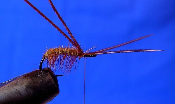 Montage de mouche