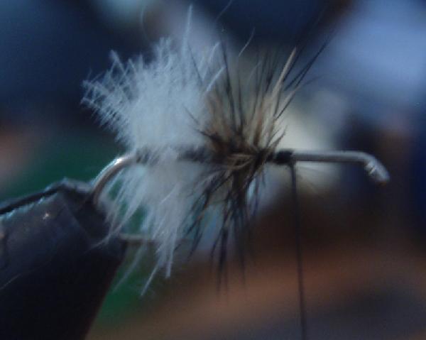 Montage de mouche