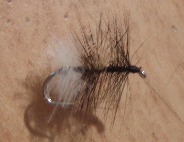 Montage de mouche