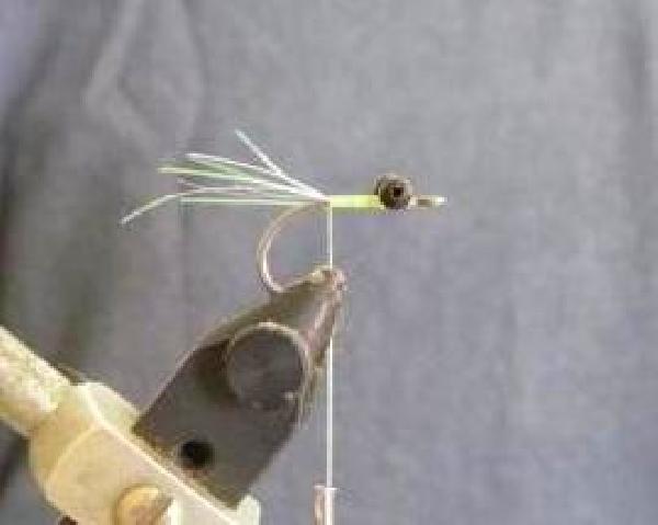 Montage de mouche
