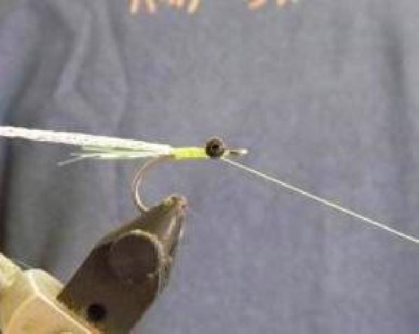 Montage de mouche