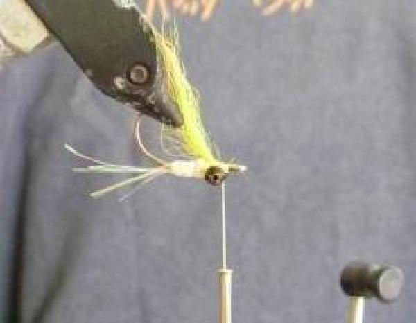 Montage de mouche