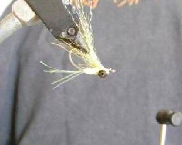 Montage de mouche