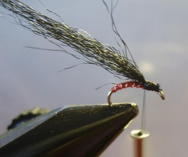 Montage de mouche