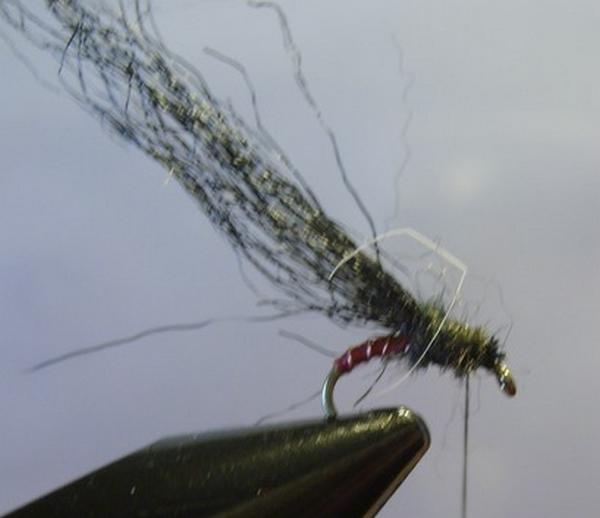 Montage de mouche