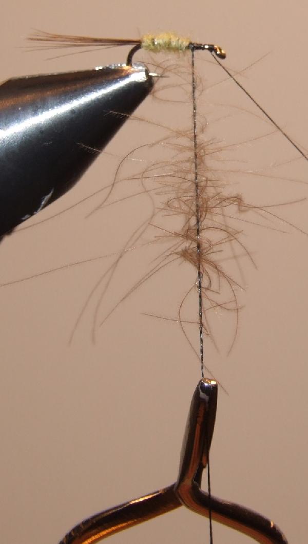 Montage de mouche