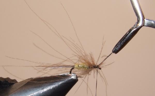 Montage de mouche