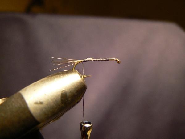 Montage de mouche