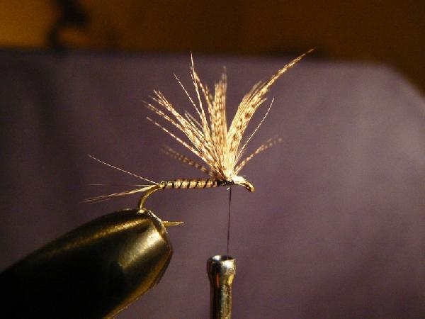 Montage de mouche