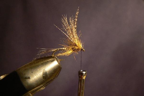 Montage de mouche