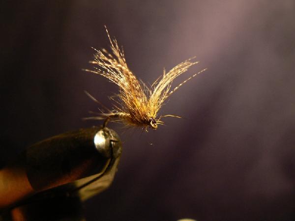 Montage de mouche