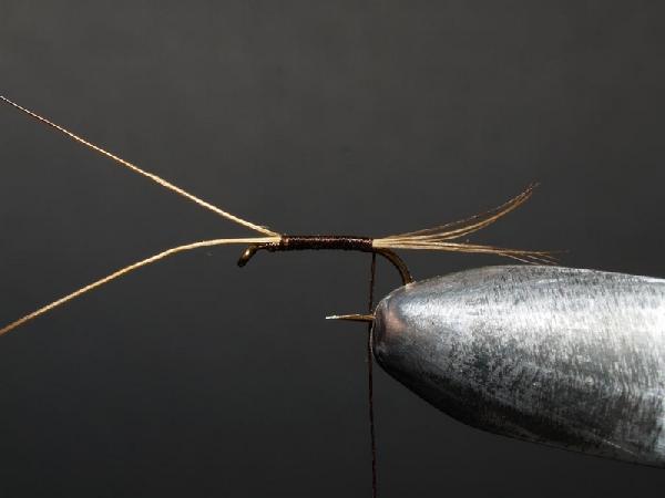 Montage de mouche