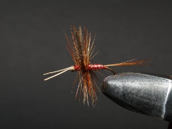 Montage de mouche