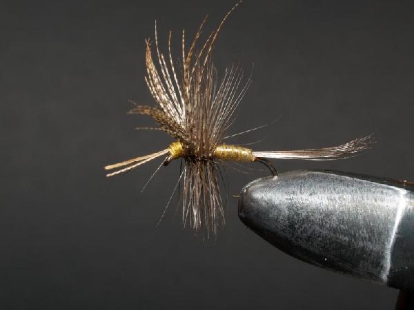 Montage de mouche