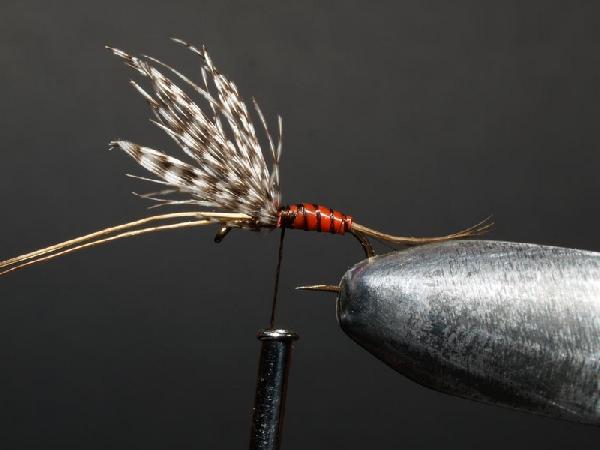 Montage de mouche