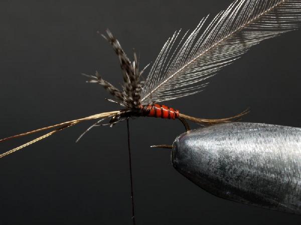 Montage de mouche
