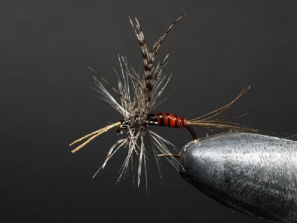 Montage de mouche