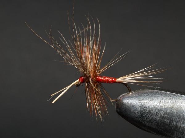 Montage de mouche