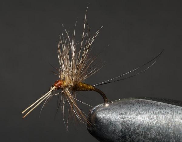 Montage de mouche