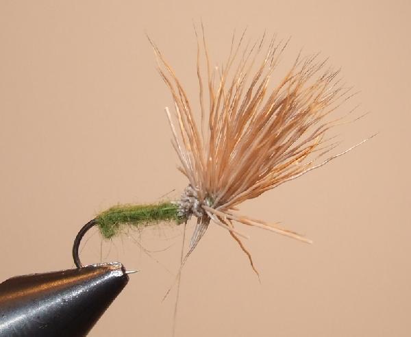 Montage de mouche