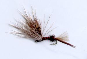 Montage de mouche