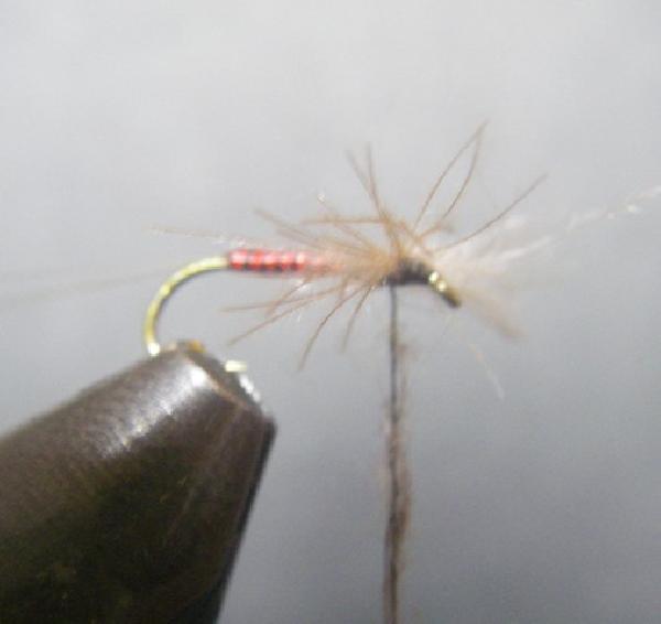 Montage de mouche