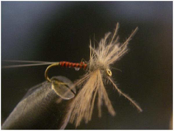 Montage de mouche