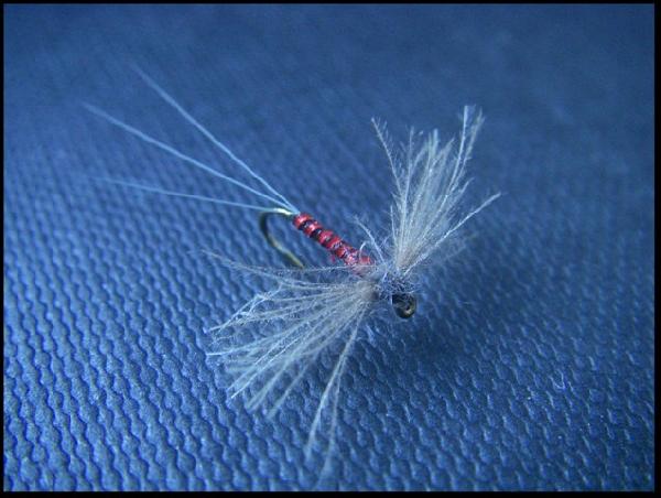 Montage de mouche