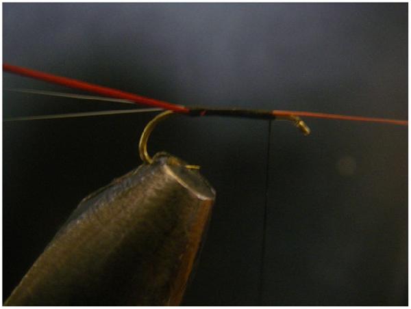 Montage de mouche