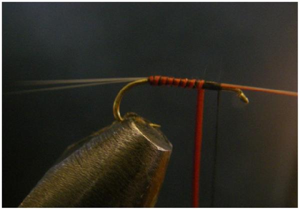 Montage de mouche