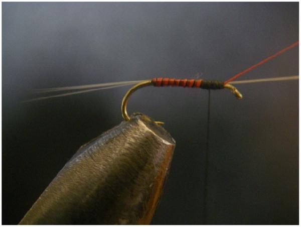 Montage de mouche