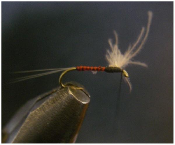 Montage de mouche