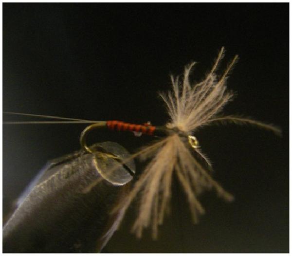 Montage de mouche