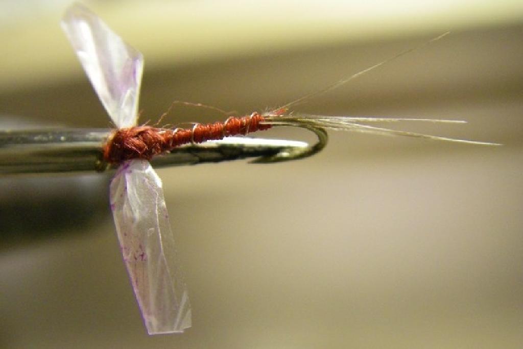 Montage de mouche