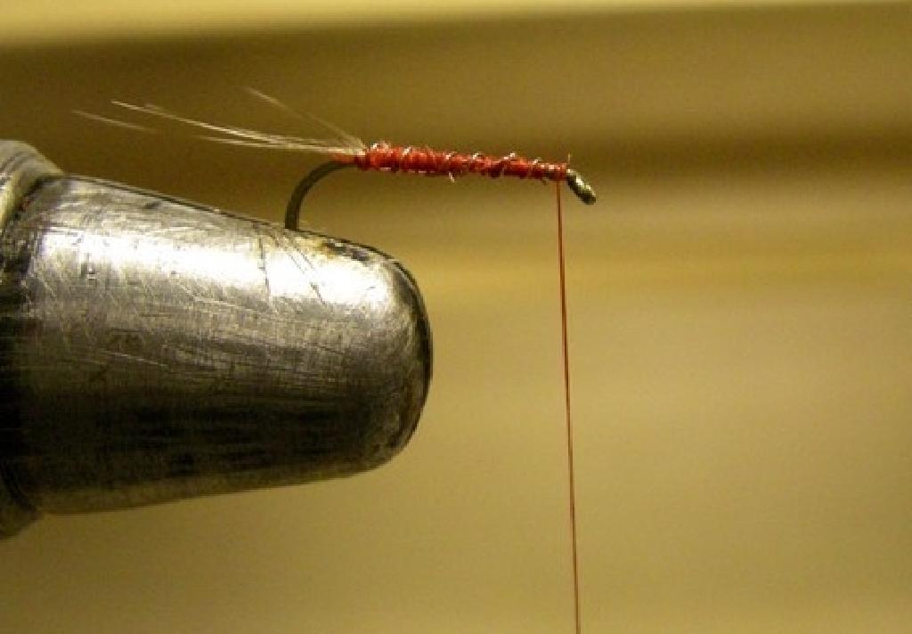 Montage de mouche