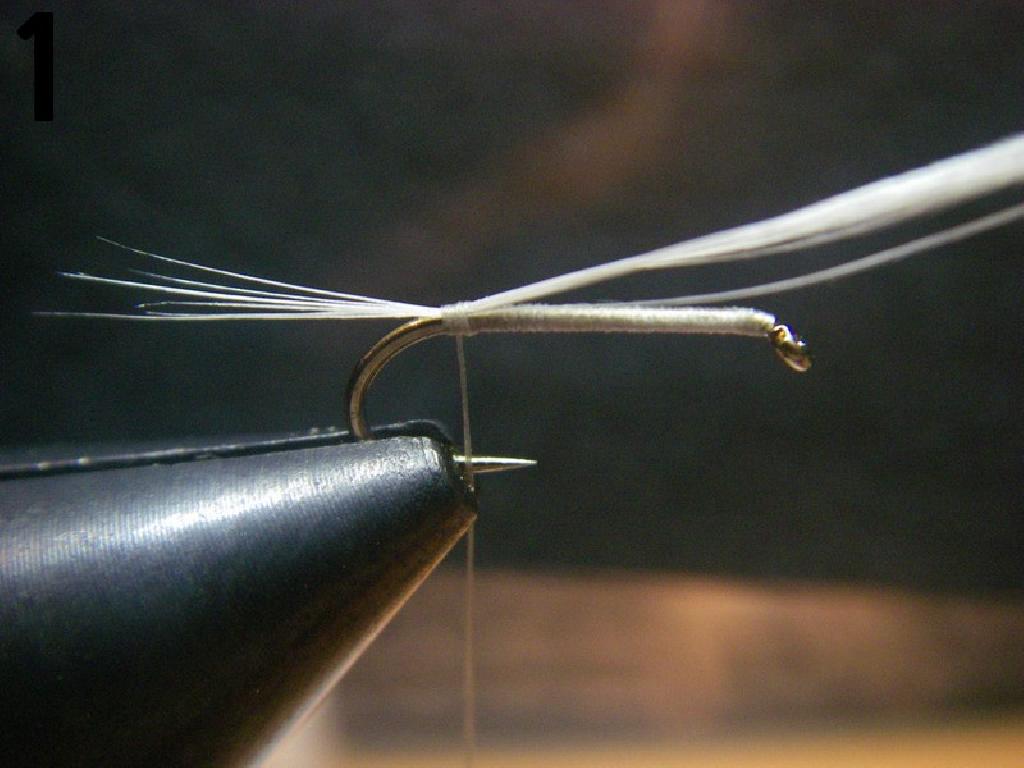 Montage de mouche