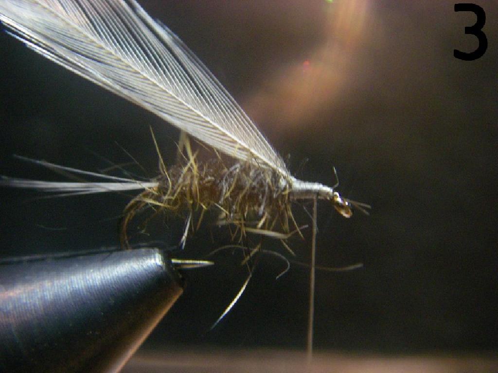 Montage de mouche