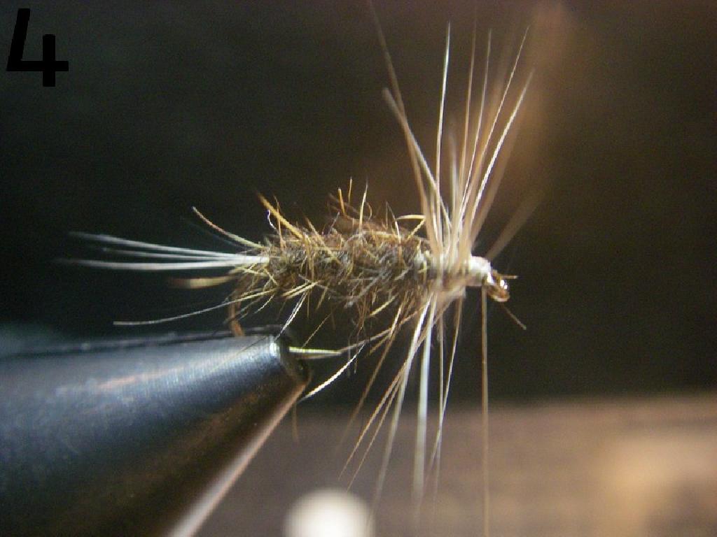 Montage de mouche