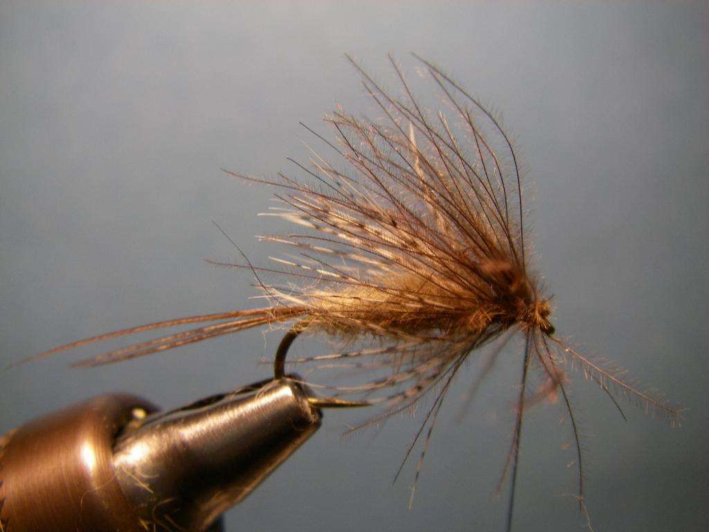 Fiche de montage : March Brown