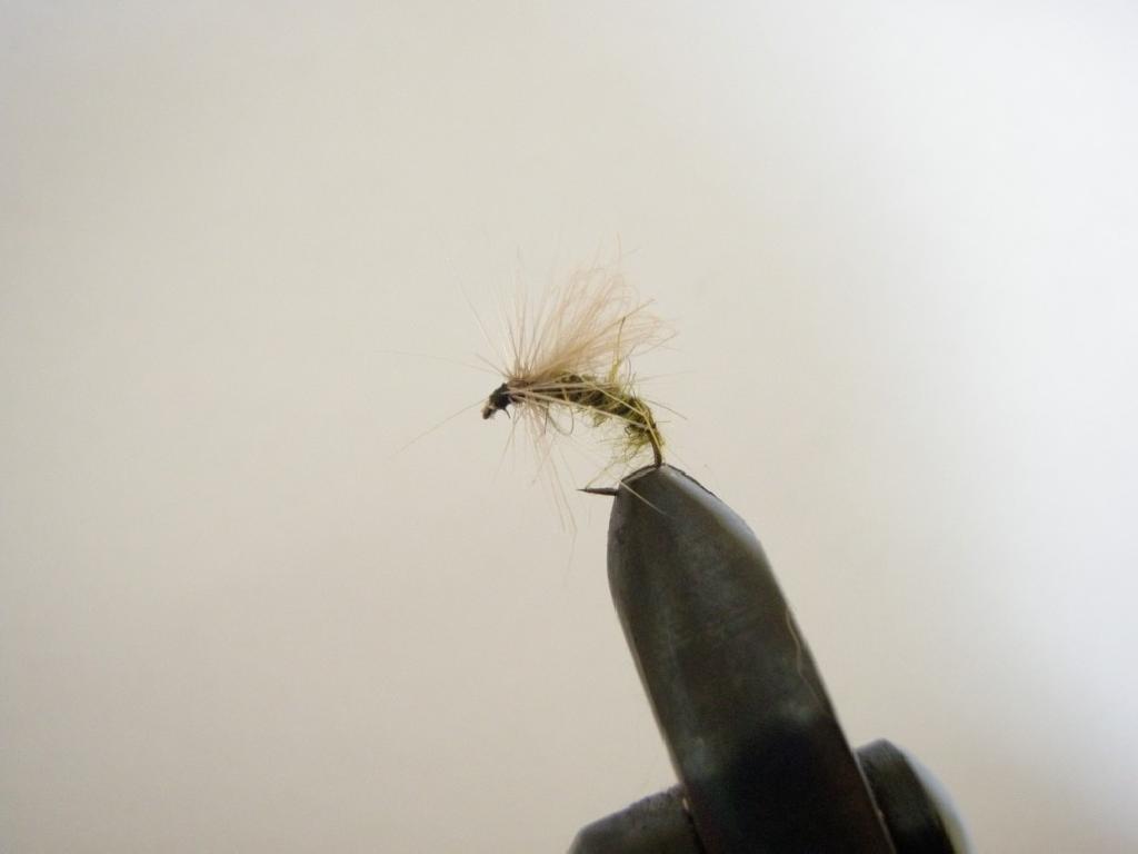Fiche de montage : Sedge émergent