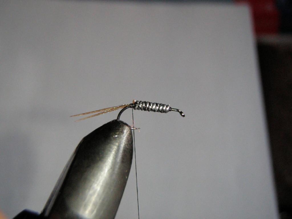 Montage de mouche