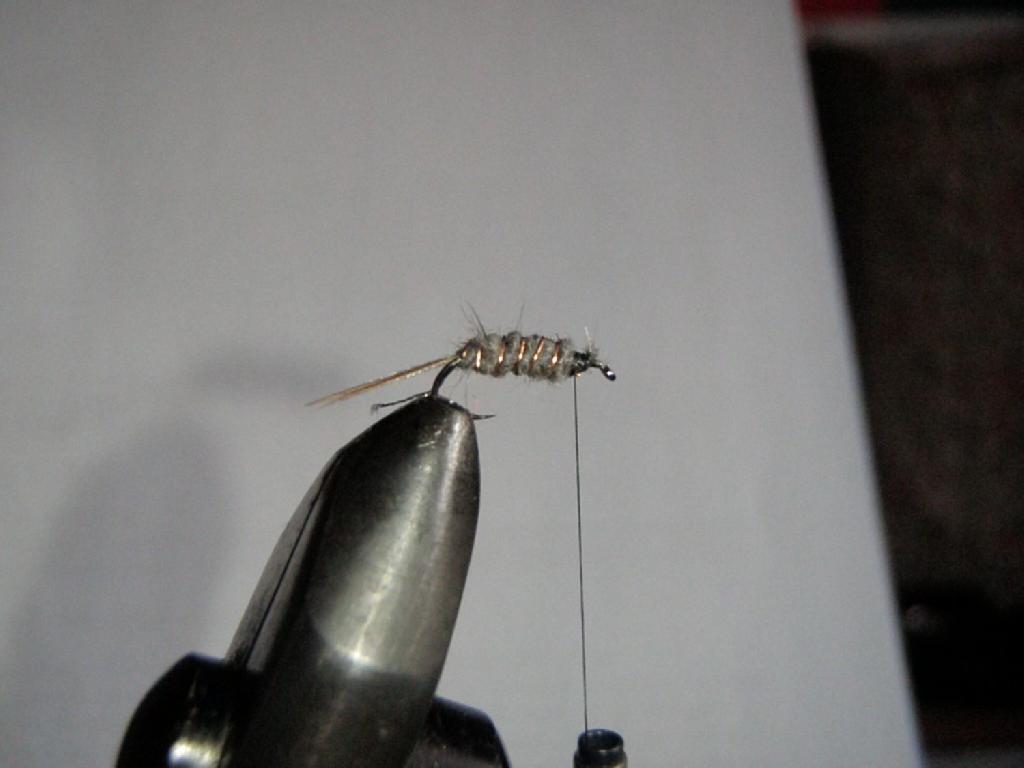 Montage de mouche
