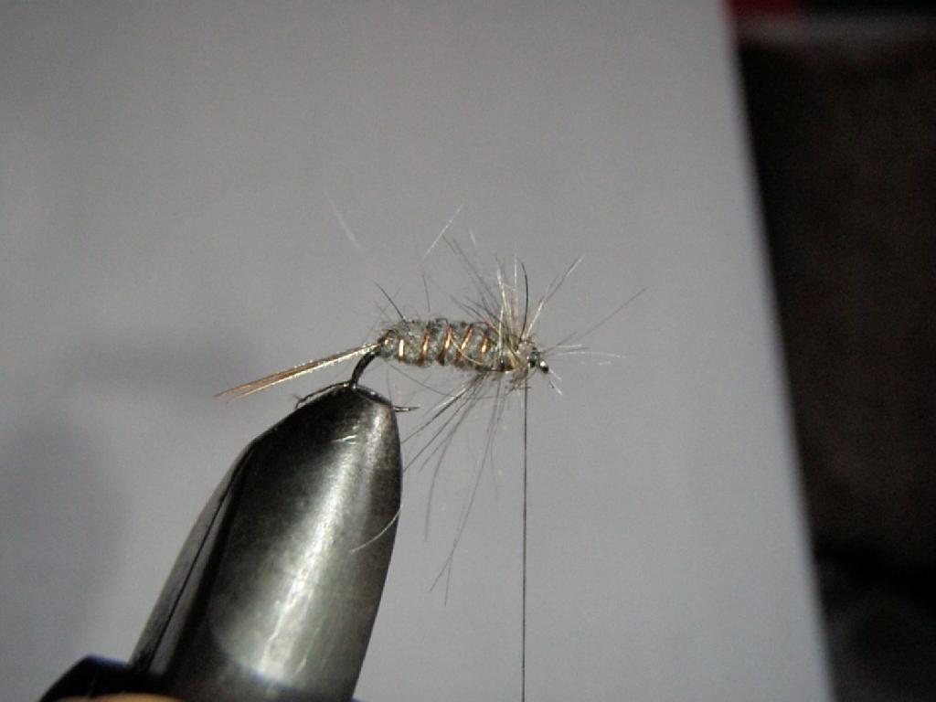 Montage de mouche