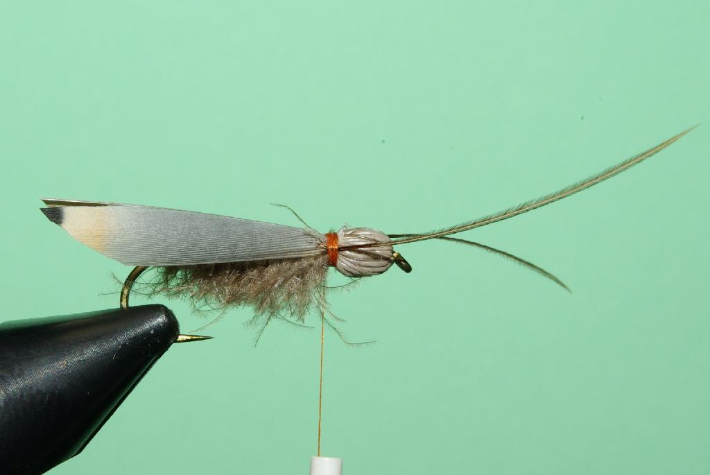 Montage de mouche