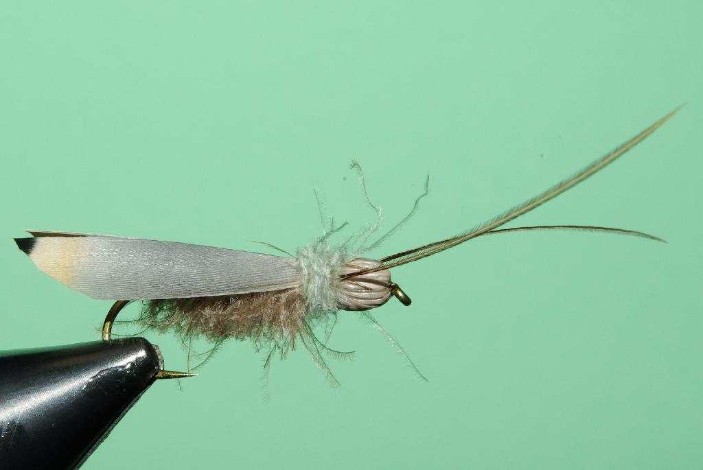Montage de mouche
