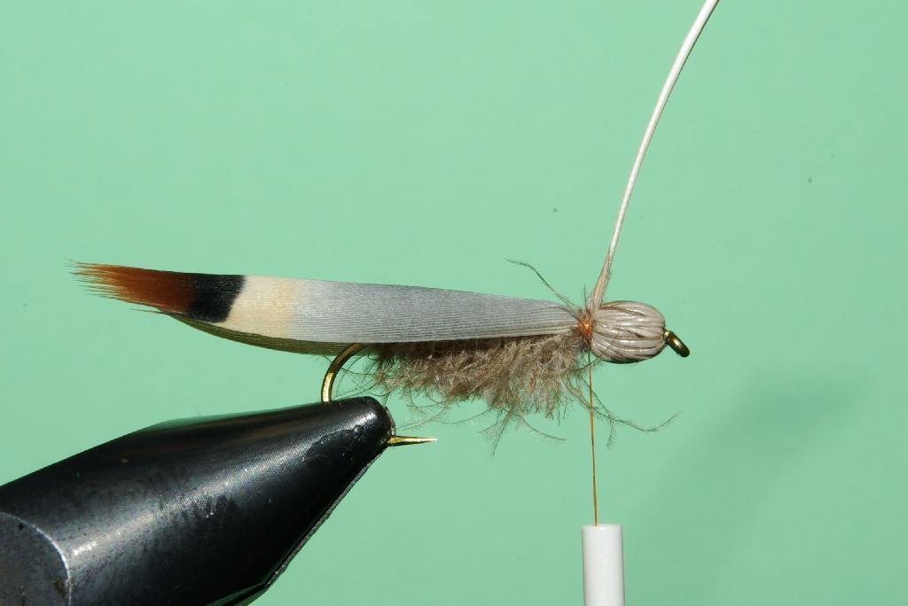 Montage de mouche