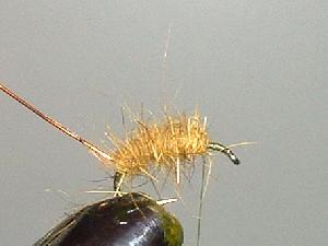 Montage de mouche