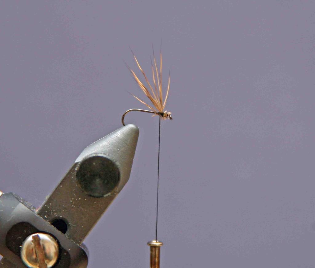 Montage de mouche